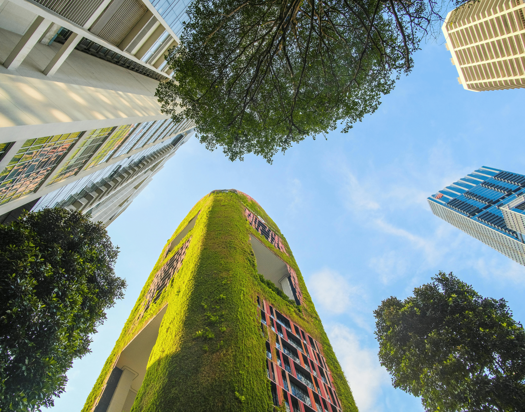 Crecimiento inclusivo: cómo equilibrar economía, sociedad y sostenibilidad